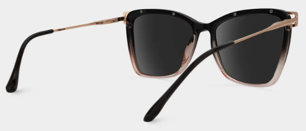 Krystle Square Noir-Marron Lunettes de soleil à Monture en Ligne | ZEELOOL FR4