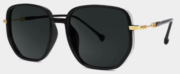 Joana Tr90 Geometric Noir Lunettes de soleil à Monture | ZEELOOL FR1