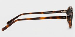 Everly Tortue Ovale lunettes de soleil3
