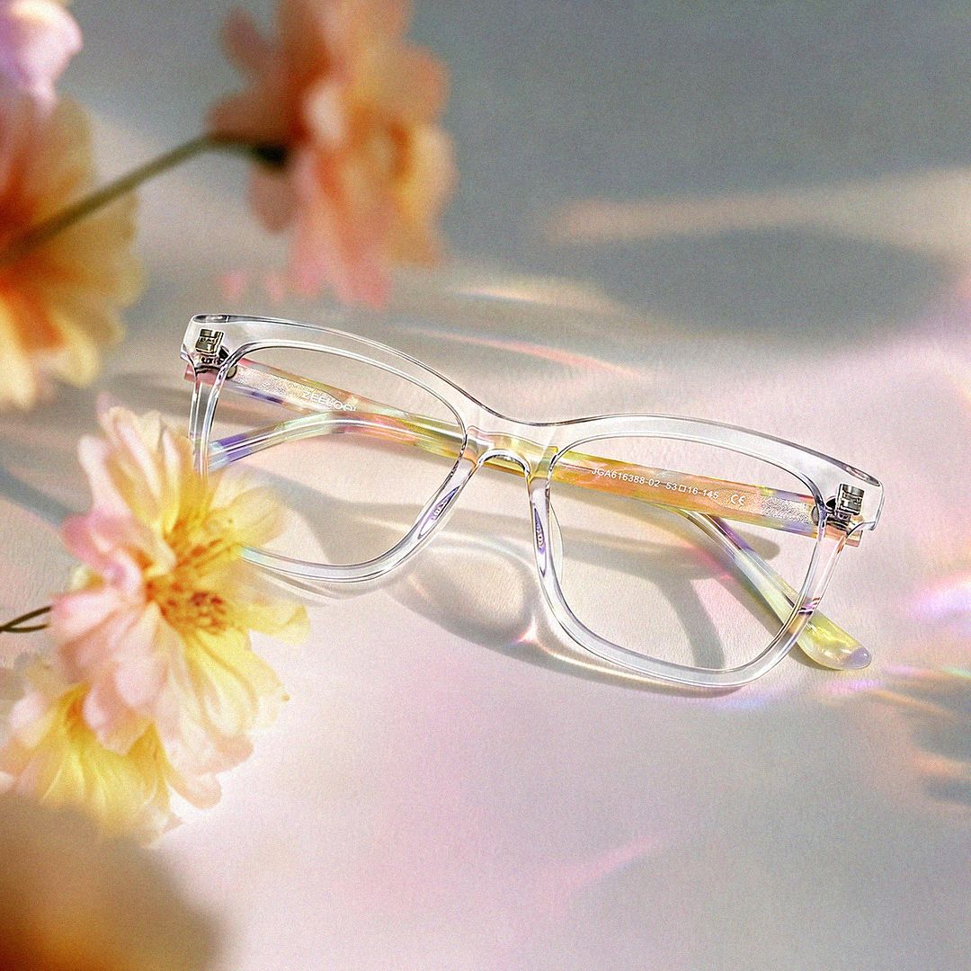 Faith Papillon Acétate Transparent Lunettes1