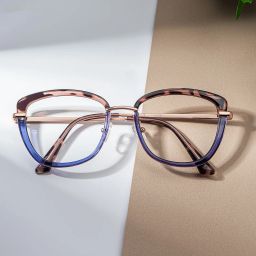 Adriana Bleu Browline lunettes0