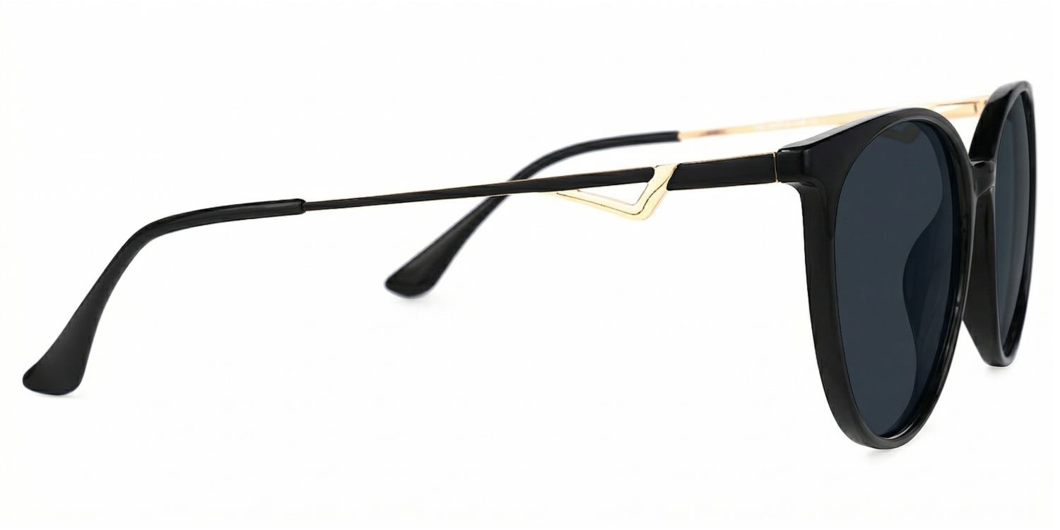 Chanty Tr90 Round Noir Lunettes de soleil à Monture | ZEELOOL FR2