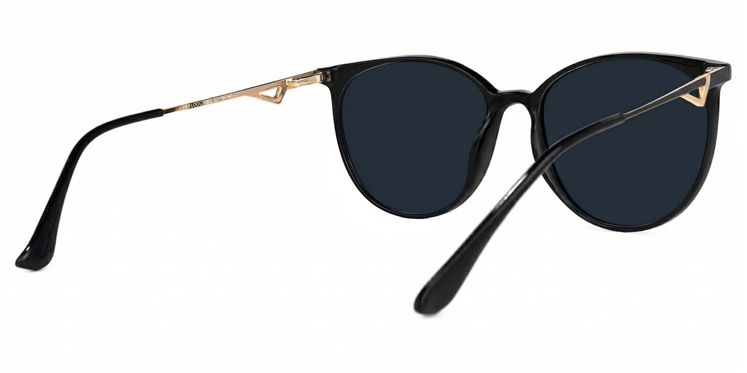 Chanty Tr90 Round Noir Lunettes de soleil à Monture | ZEELOOL FR3