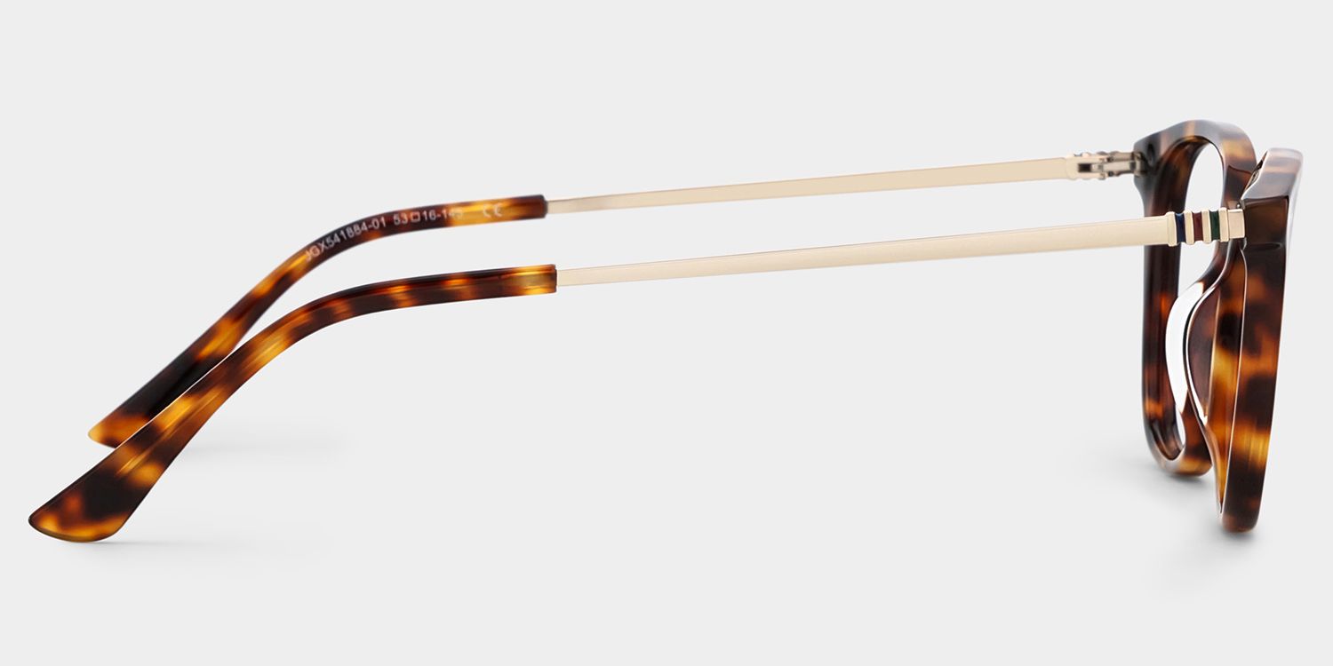 Finch Tortue Rectangle Lunettes3
