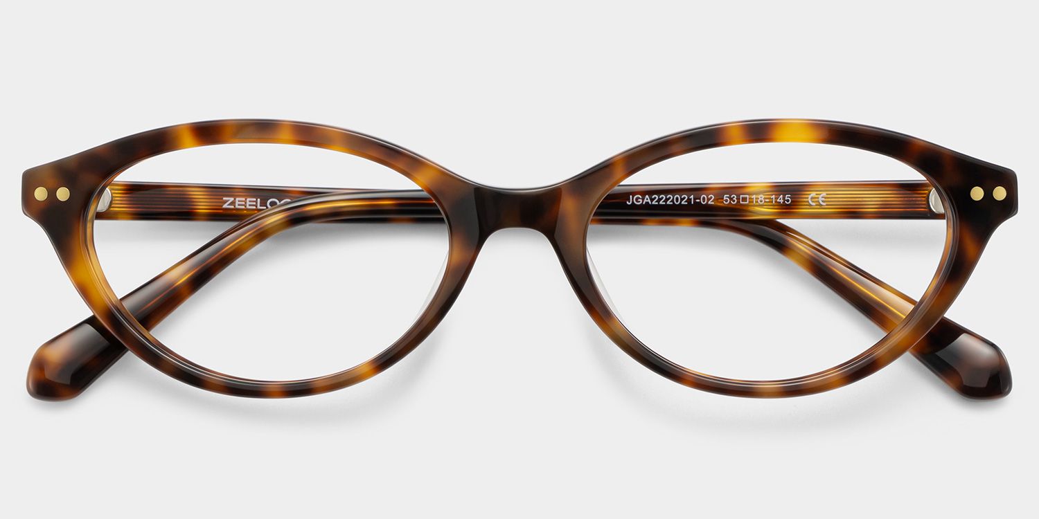 Ashby Tortue Ovale Lunettes1