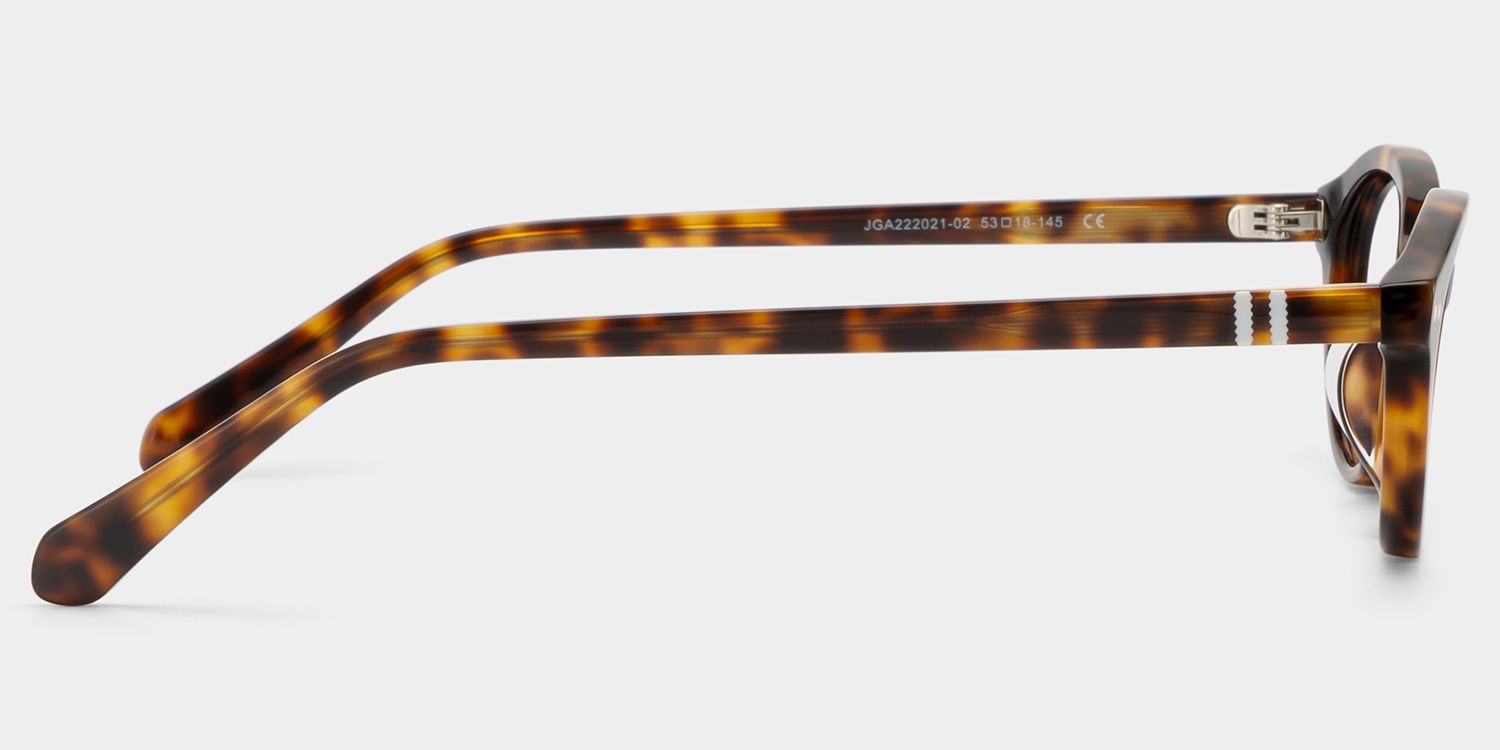 Ashby Tortue Ovale Lunettes3