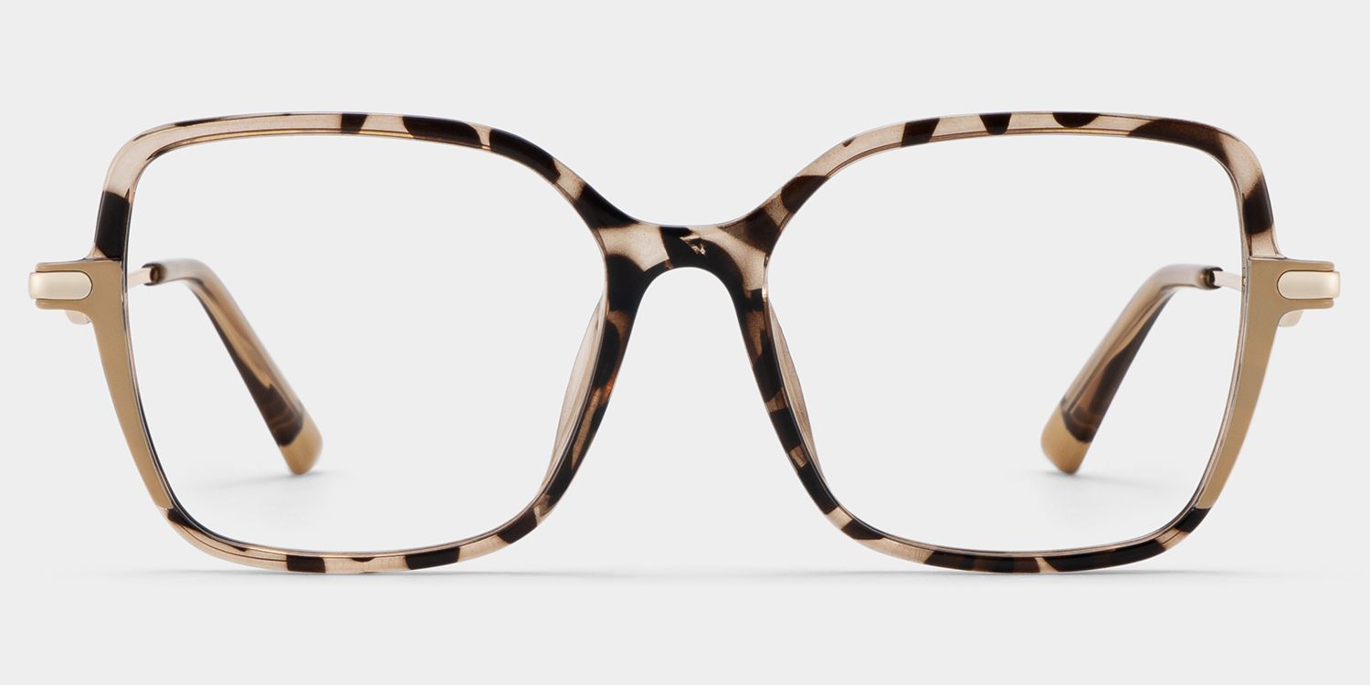Rendon Tortue Rectangle Luenttes0