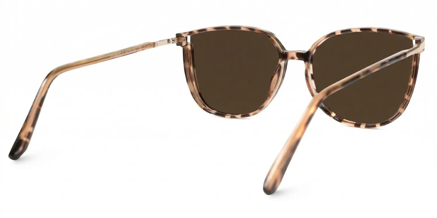 Lunettes de soleil polarisées de conduite Square Tortue Rodz | ZEELOOL2
