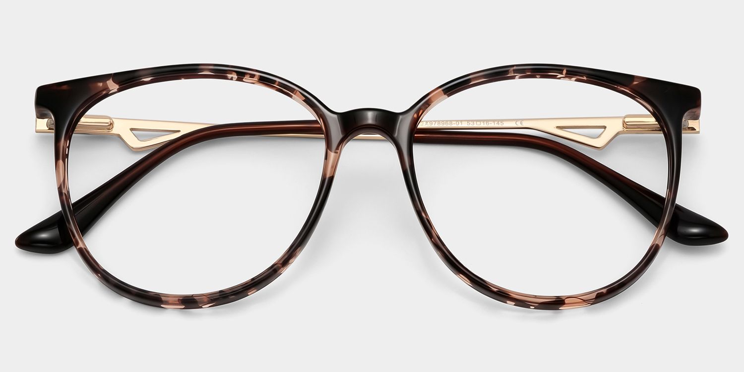 Rayne Tortue Ronde Lunettes2
