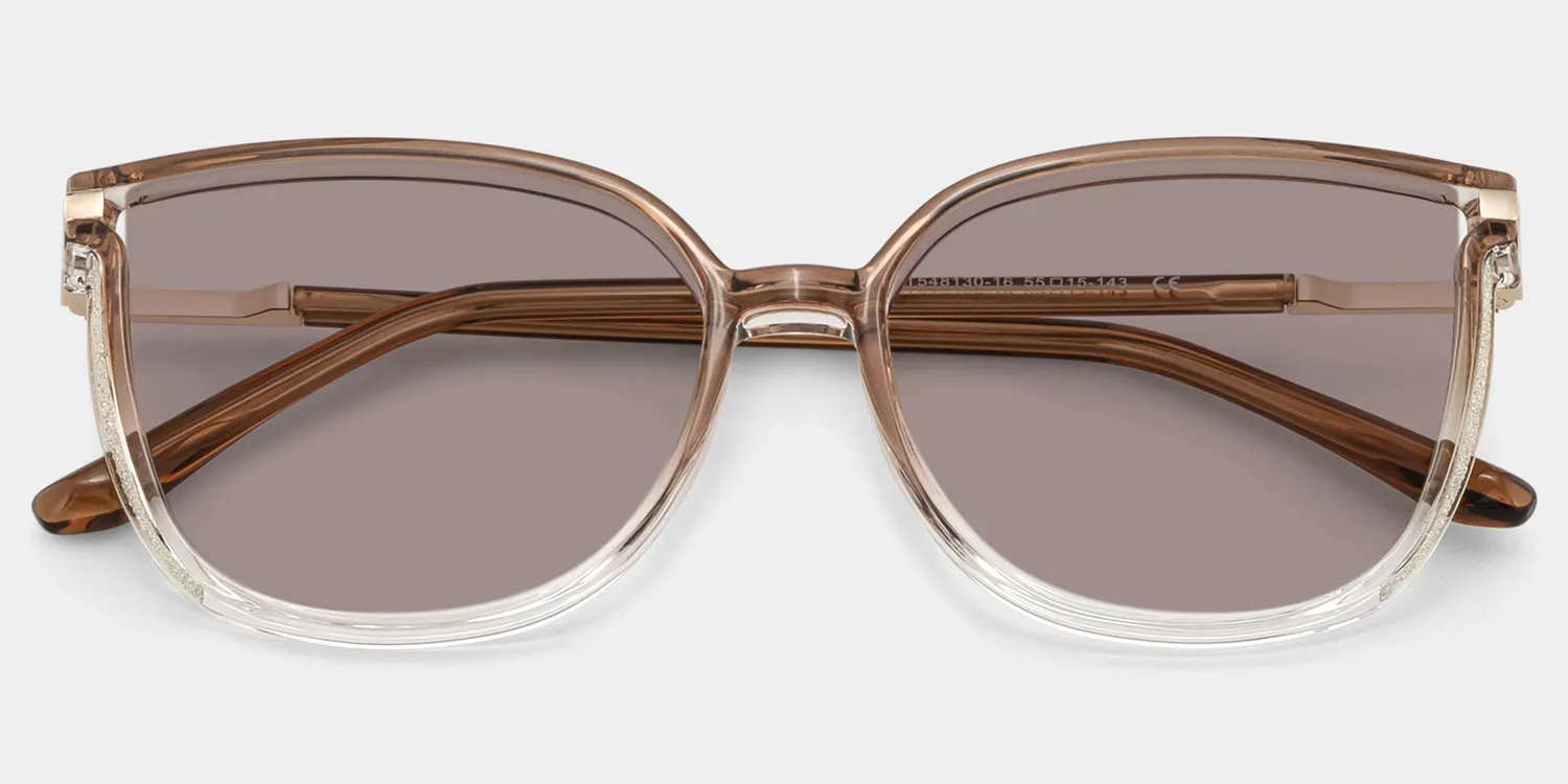 Rodz Square Marron Cristal Lunettes de soleil pour Sublimer votre Visage | ZEELOOL FR1