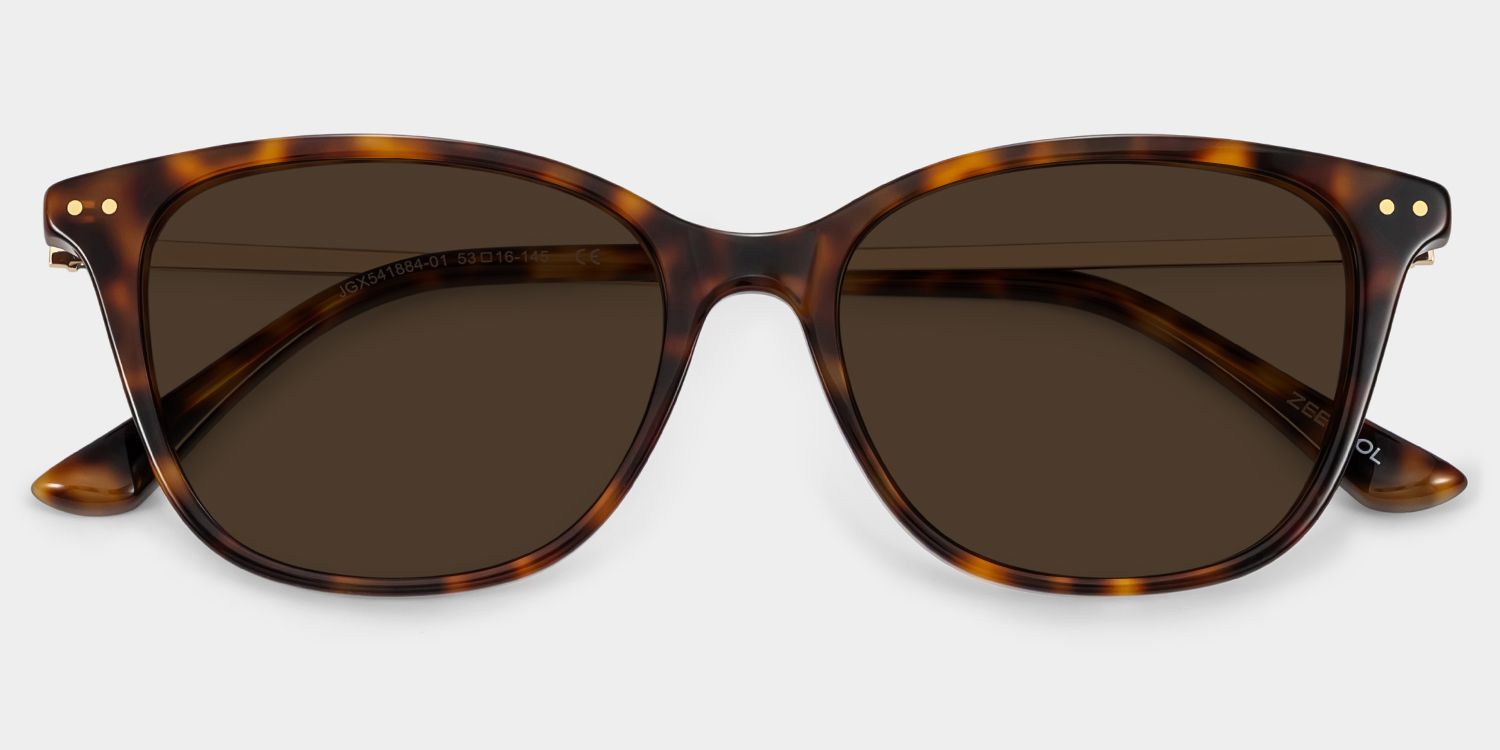 Finch Rectangle Tortue Lunettes de soleil pour Femmes et Hommes | ZEELOOL FR1