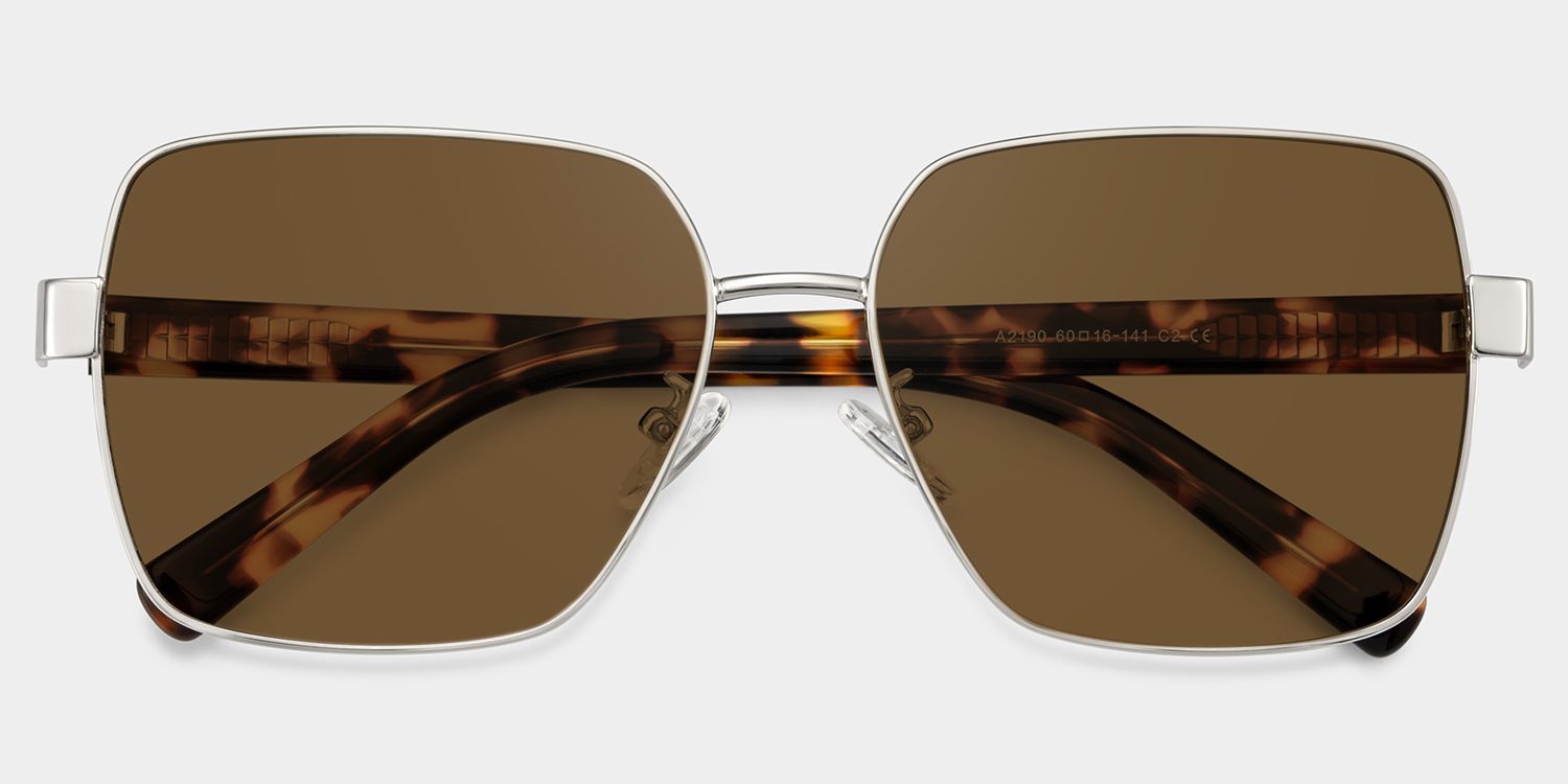 Sahara Metal Square Brun Lunettes de soleil à Monture | ZEELOOL FR1