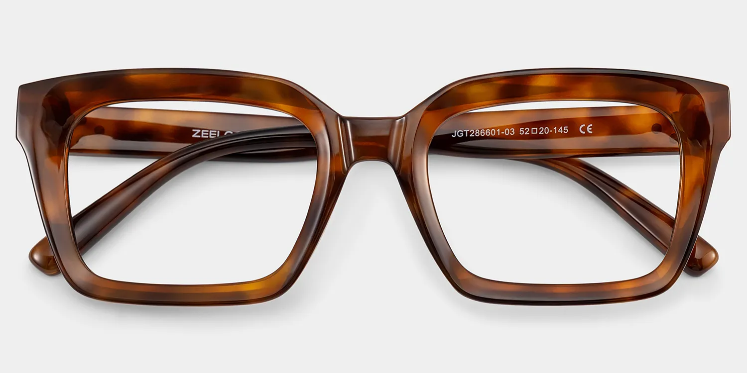 Marley Rectangulaires Tortue TR90 Lunettes1
