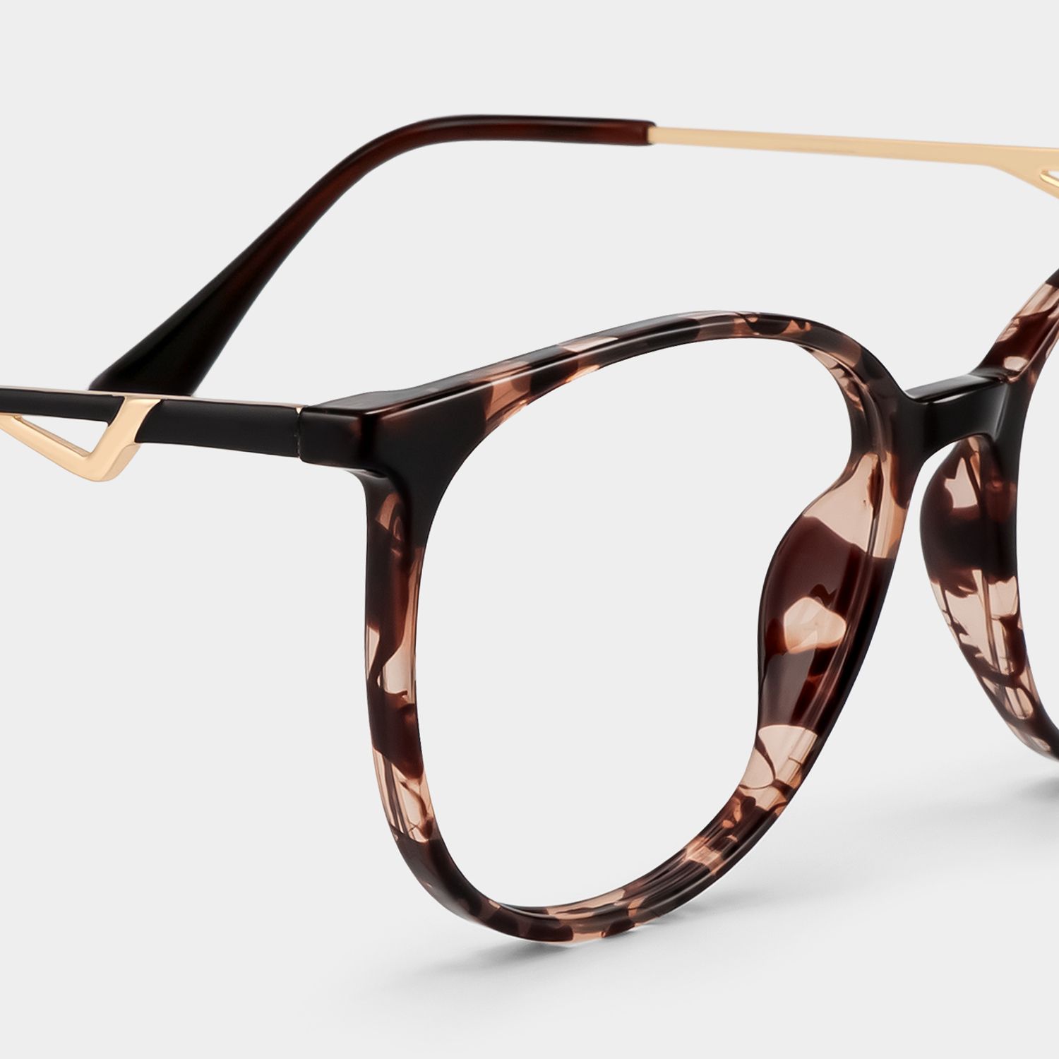 Rayne Tortue Ronde Lunettes5