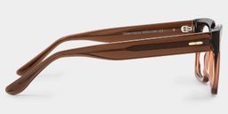 Benjamin Bicolore Rectangulaire lunettes5