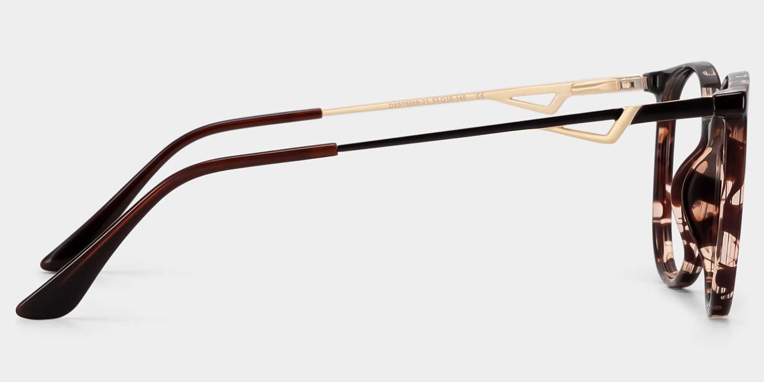 Rayne Tortue Ronde Lunettes4