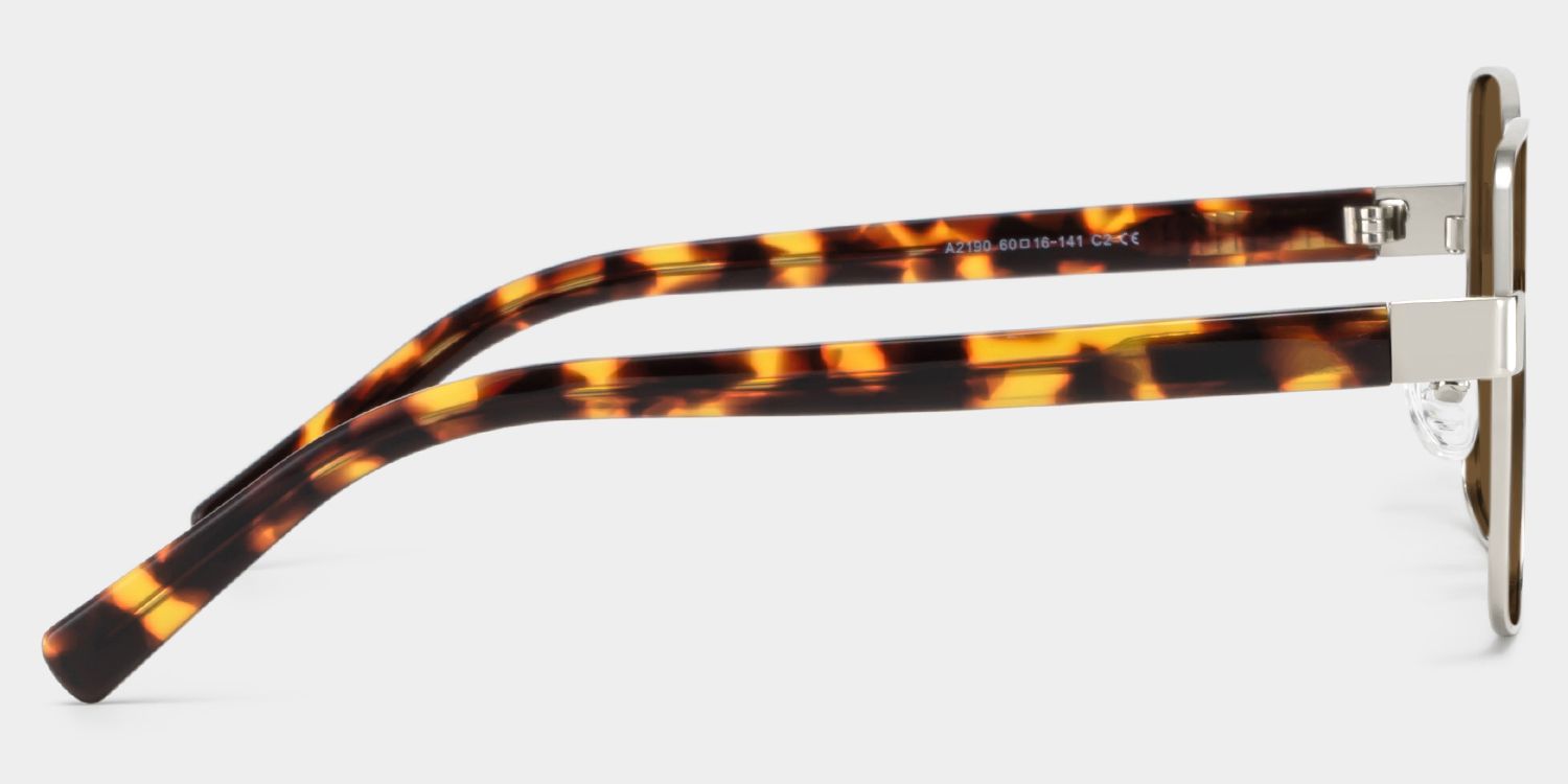Sahara Metal Square Brun Lunettes de soleil à Monture | ZEELOOL FR3