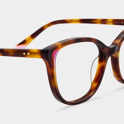 Brady Tortue Papillon lunettes5