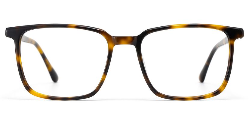 Aidan Tortue Rectangulaire lunettes