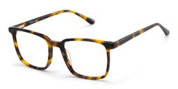 Aidan Tortue Rectangulaire lunettes2