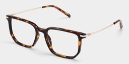 Michelle Tortoise Rectangulaire lunettes2