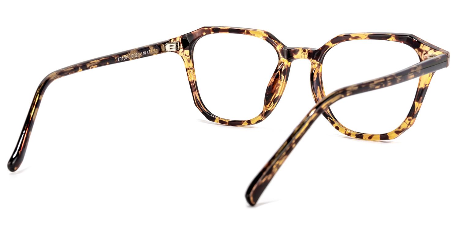 Preston Tortue Carré Lunettes4