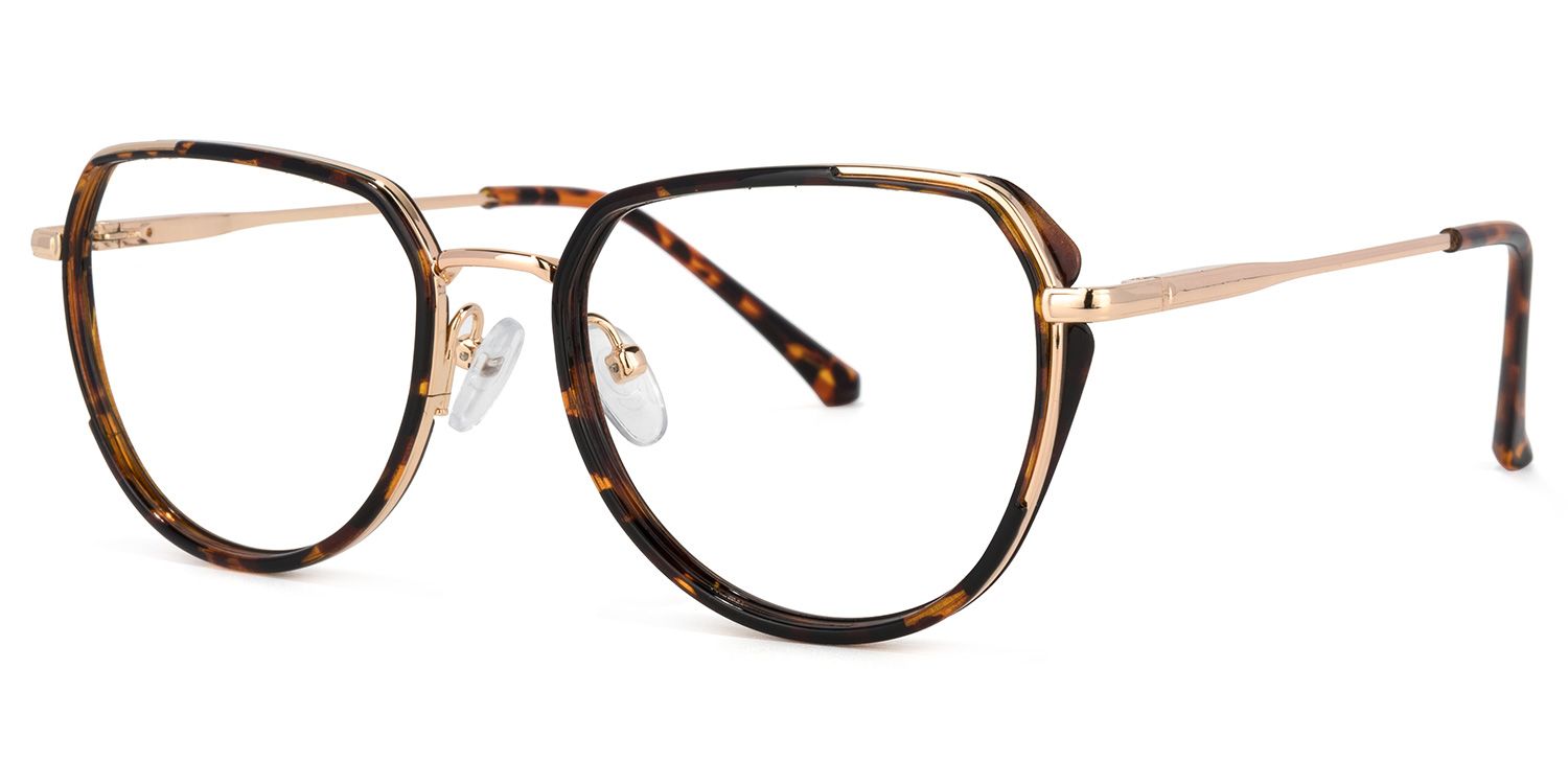 Hanson Lunettes géométriques Tortoise1