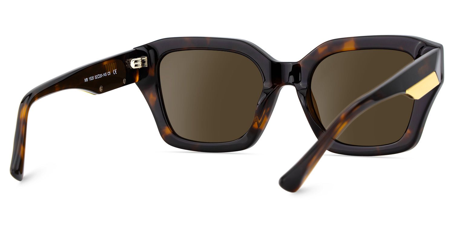 Rhea Acetate Square Tortue Lunettes de soleil à Monture | ZEELOOL FR4