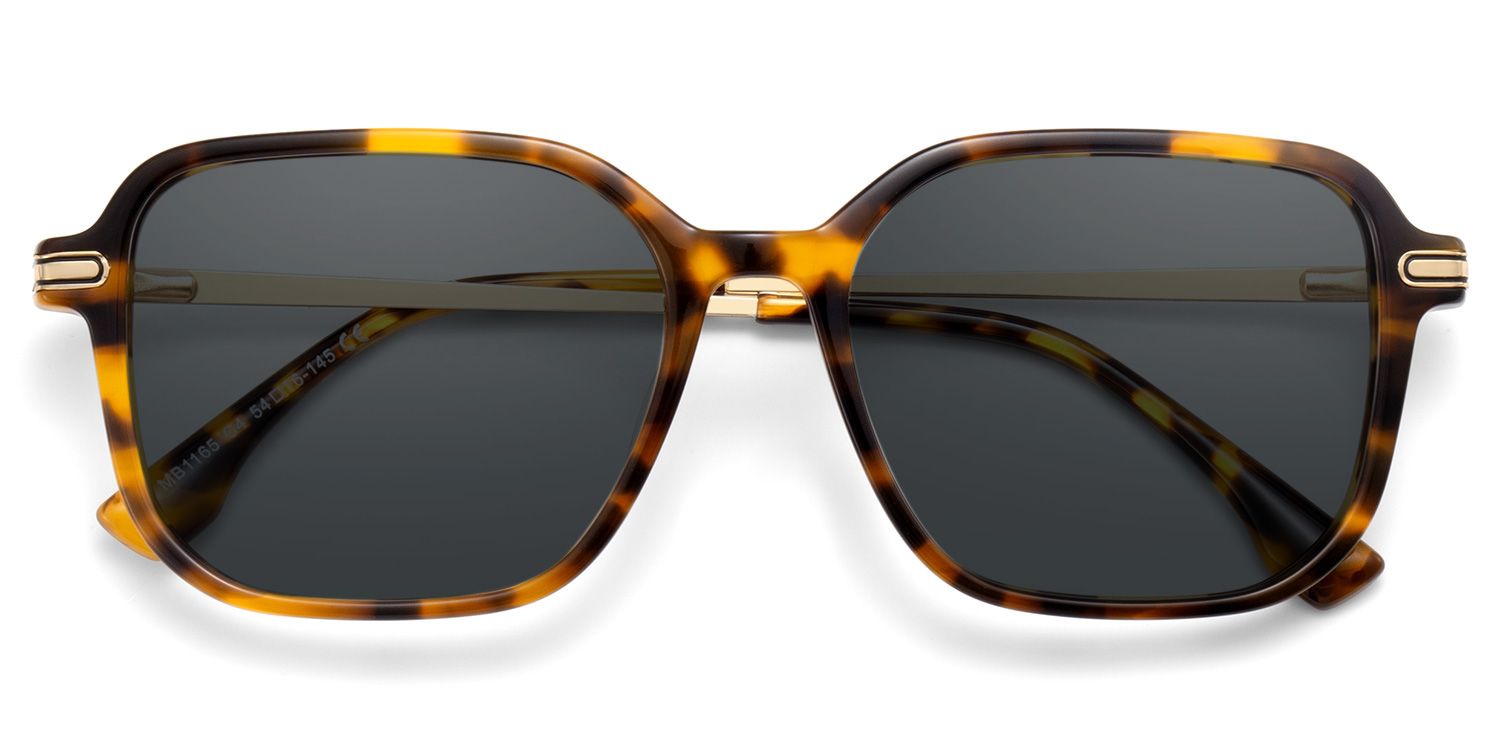 Jetson Acetate Rectangle Noir Lunettes de soleil à Monture | ZEELOOL FR1