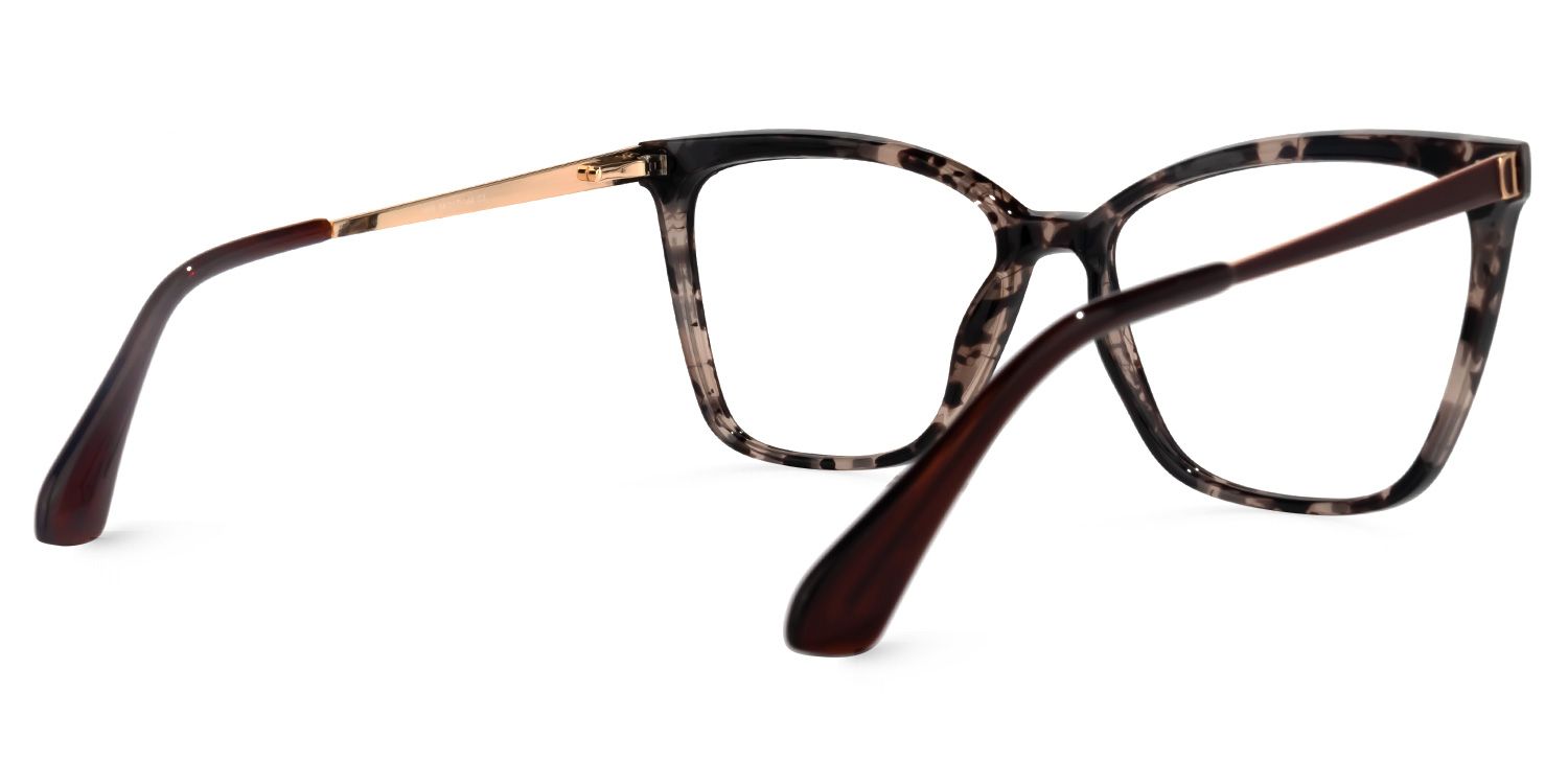 Roanoke Tortue Cateye Lunettes2