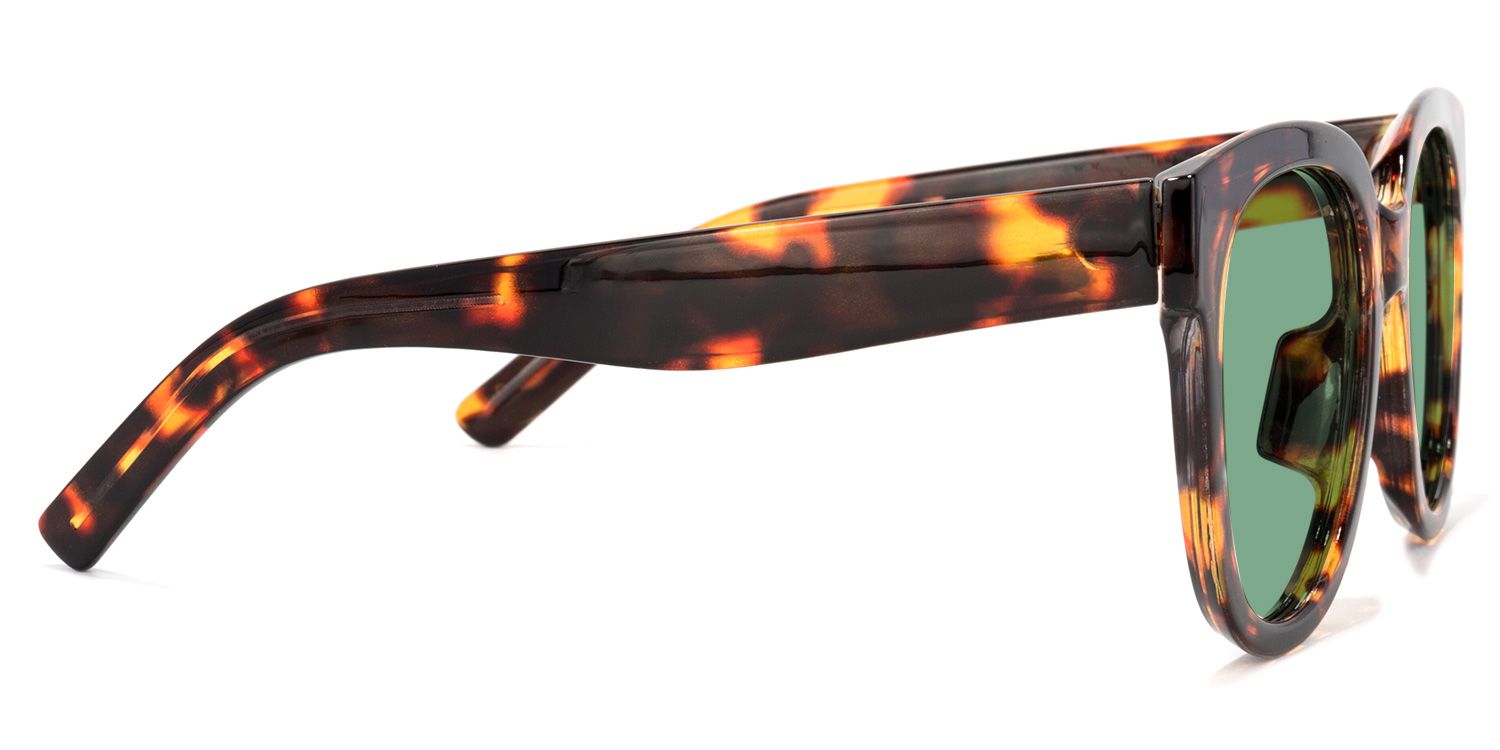 Roxanne Lunettes solaires carrées Tortoise2