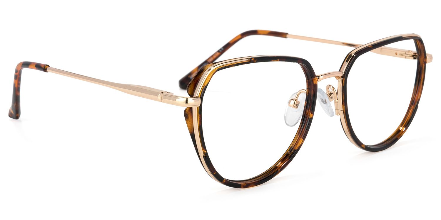 Hanson Lunettes géométriques Tortoise2