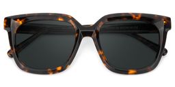 Lark Tortue Carré lunettes de soleil1