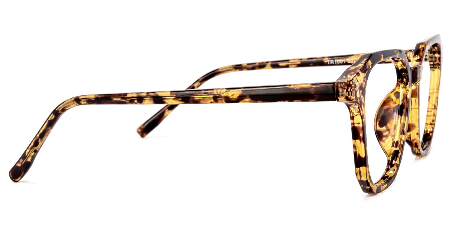 Preston Tortue Carré Lunettes3