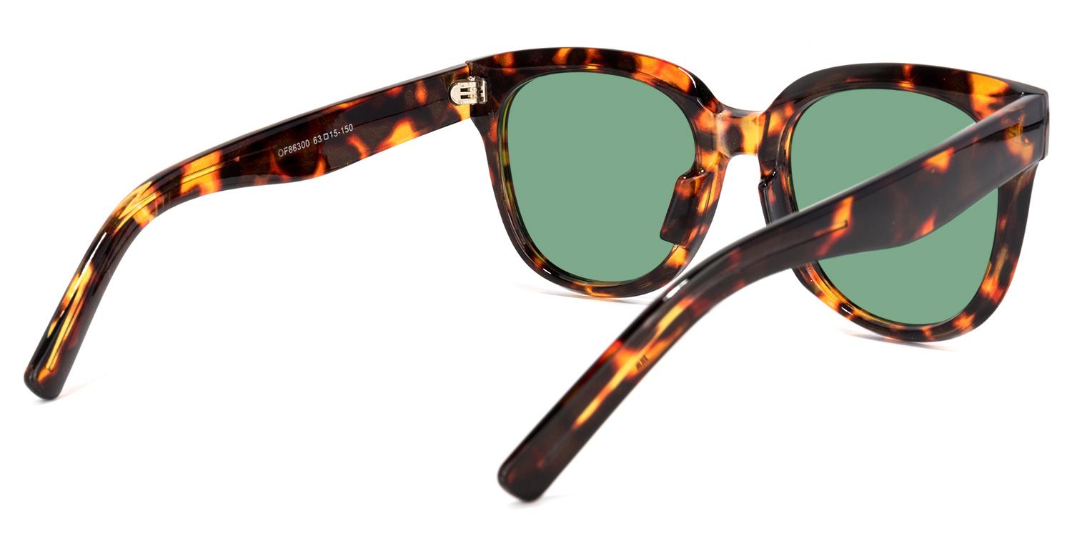 Roxanne Lunettes solaires carrées Tortoise3