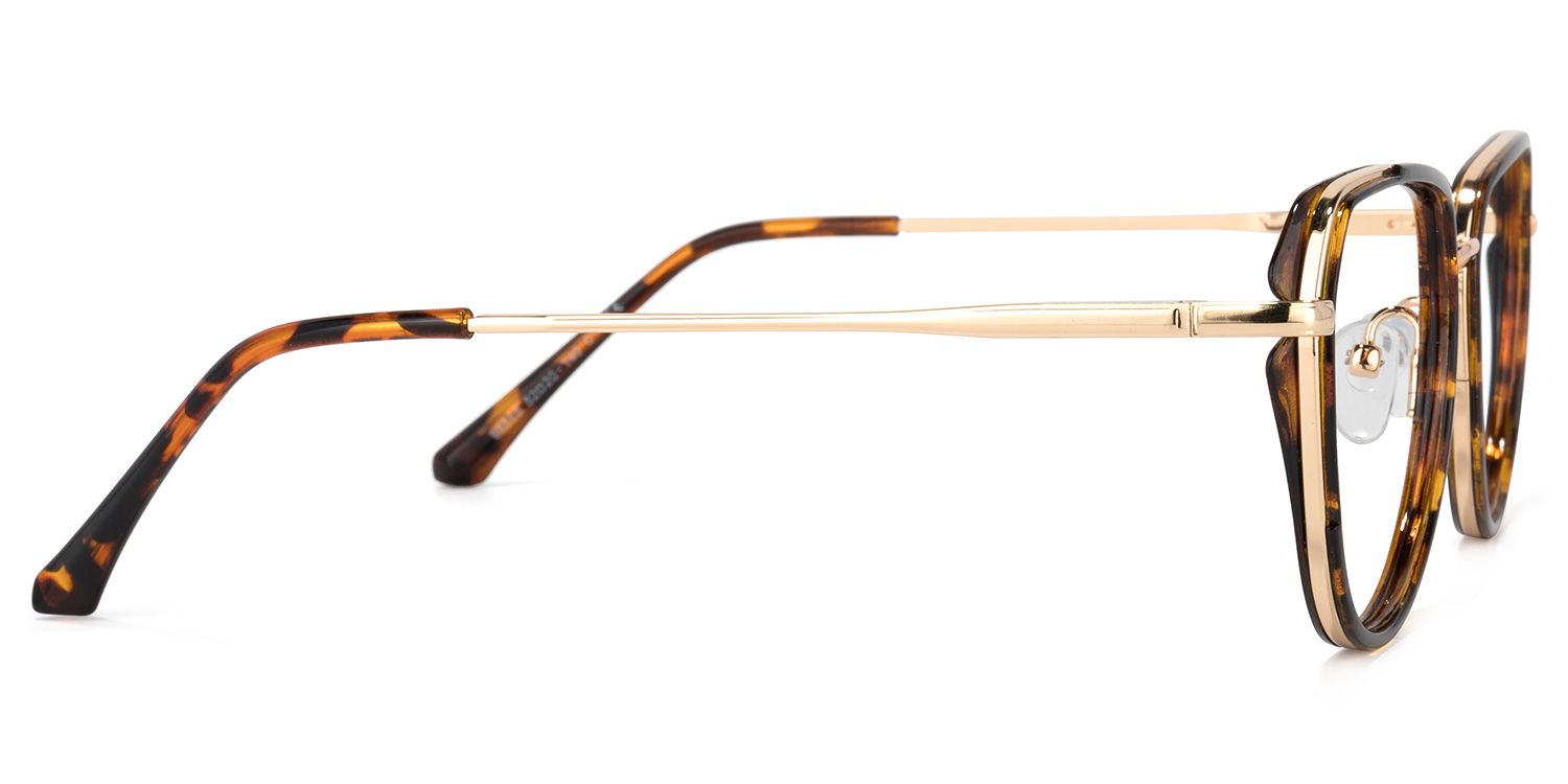 Hanson Lunettes géométriques Tortoise3