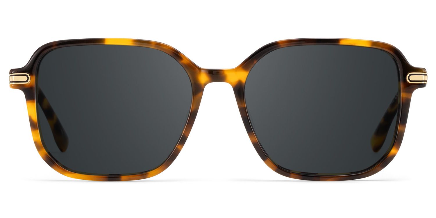 Jetson Acetate Rectangle Noir Lunettes de soleil à Monture | ZEELOOL FR0