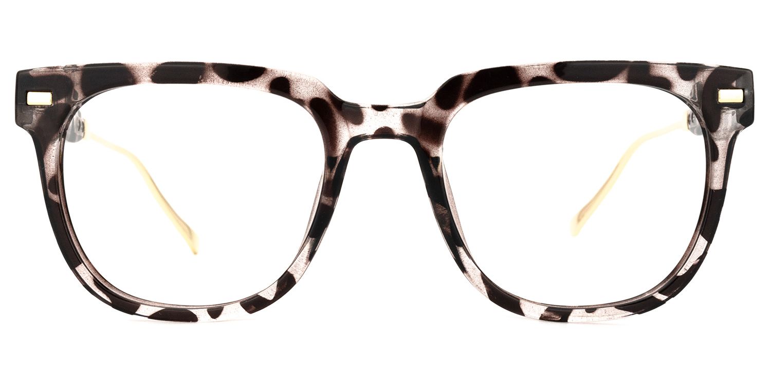 Kassel Tortue Carré Lunettes0