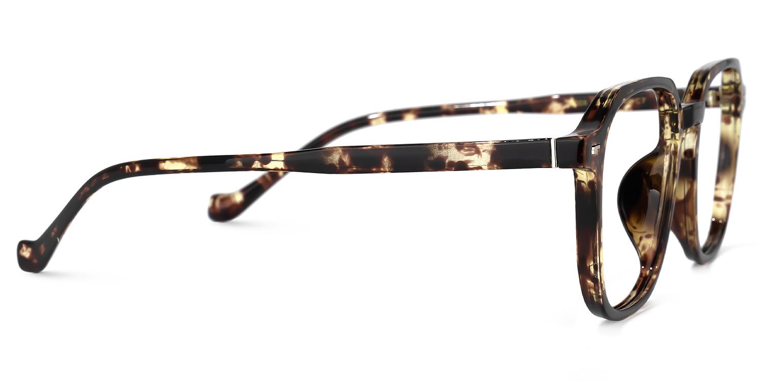 Fern Tortue Carré Lunettes2