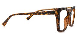 Edna3