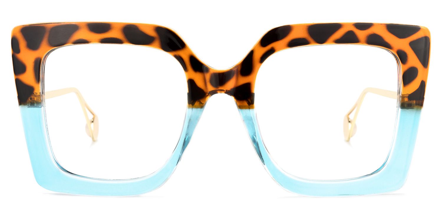 Qatar Bleue Tortue Carré Lunettes0