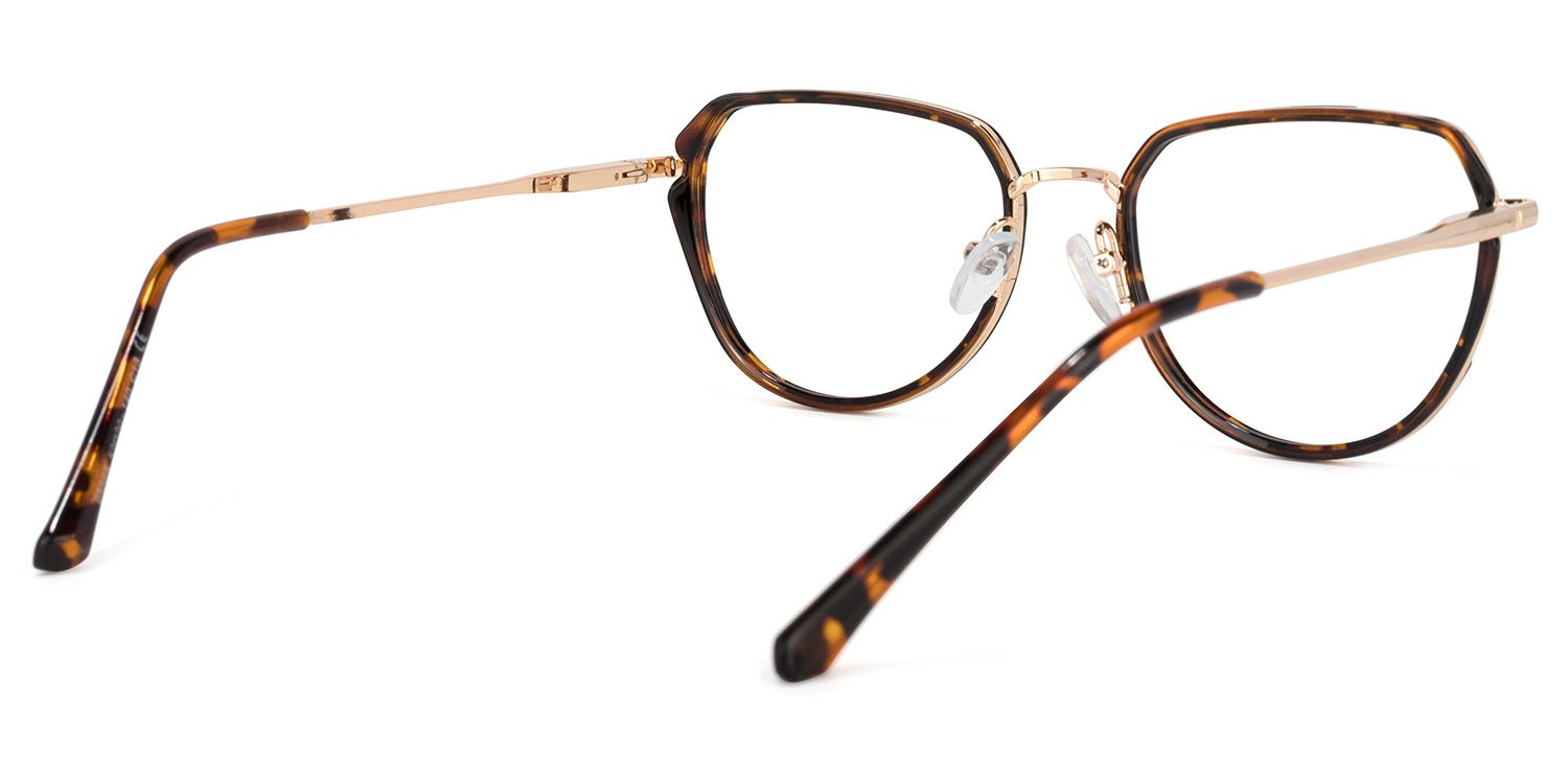 Hanson Lunettes géométriques Tortoise4